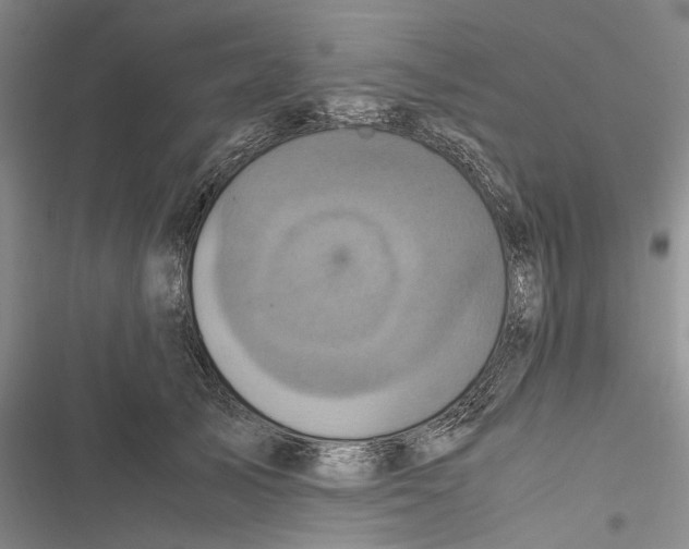 X0000116800705201001151123