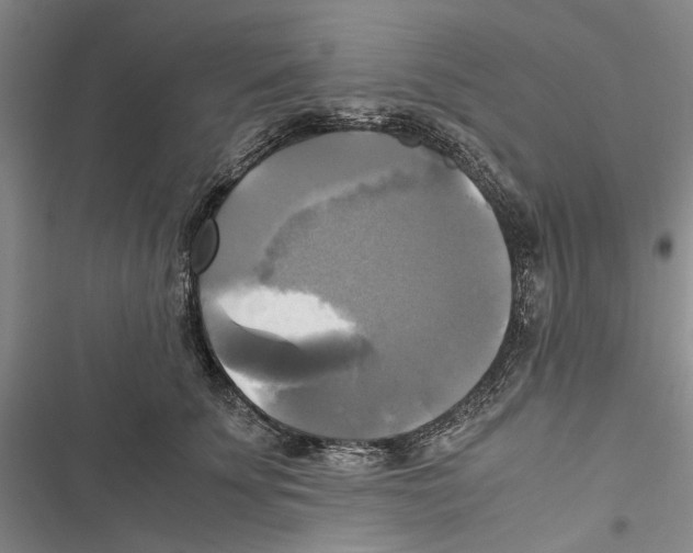 X0000116800707201001151122