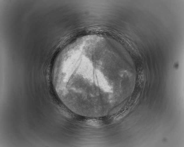 X0000116800708201001151122