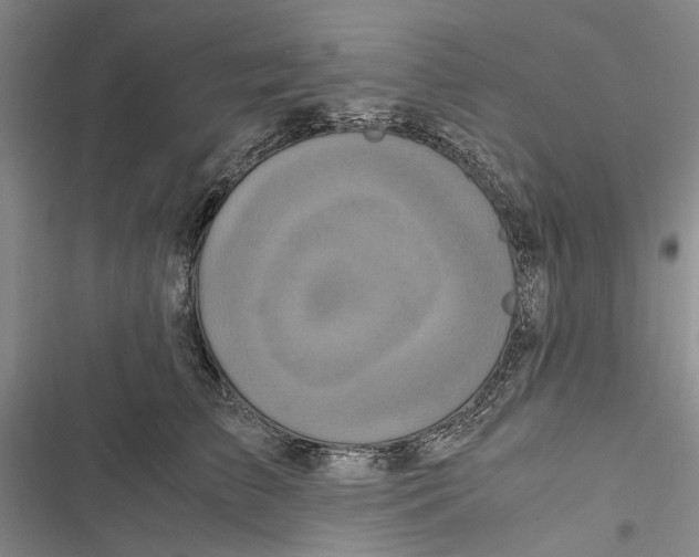 X0000116800709201001151122