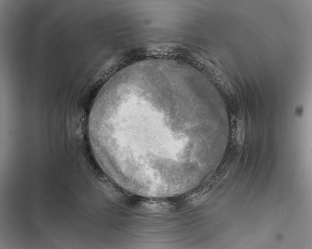 X0000116800712201001151122