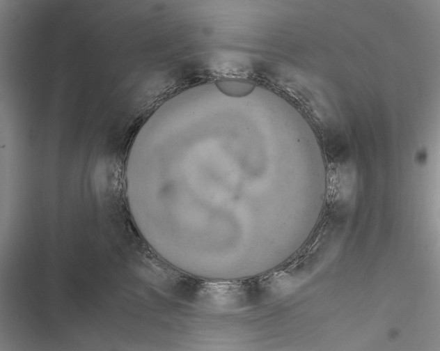 X0000116800713201001151122