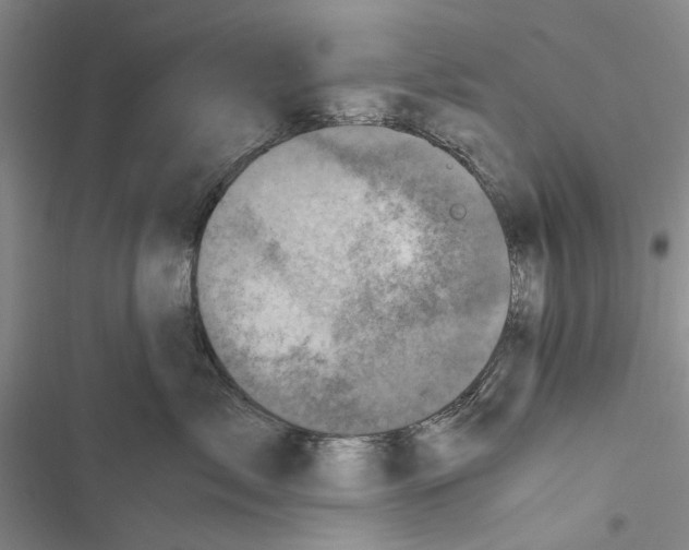 X0000116800717201001151122