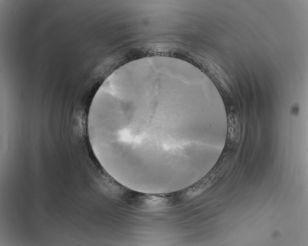 X0000116800718201001151122