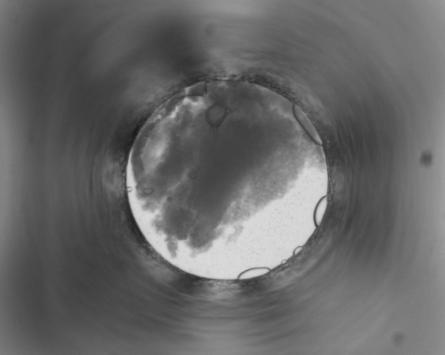 X0000116800719201001151122