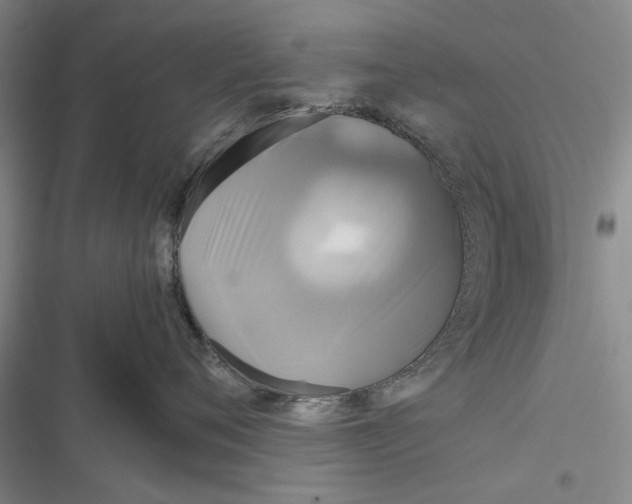 X0000116800720201001151122