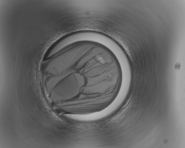 X0000116800721201001151122