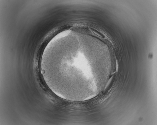 X0000116800723201001151122