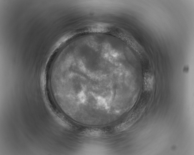 X0000116800726201001151122