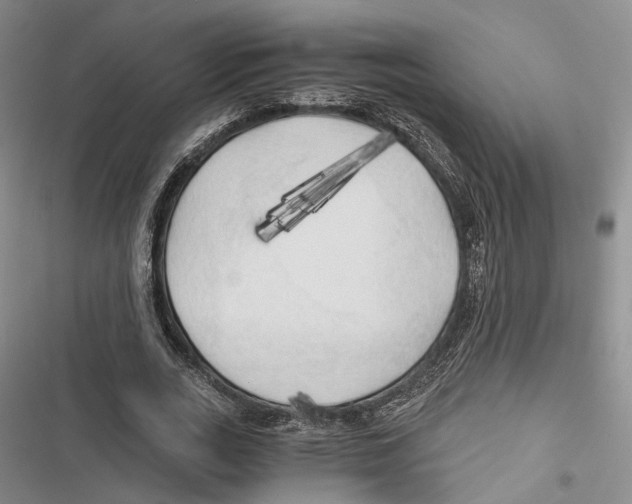 X0000116800727201001151122