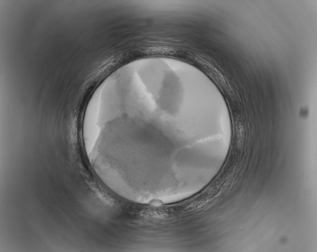 X0000116800729201001151122
