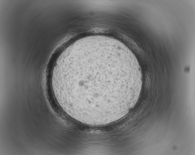 X0000116800730201001151122