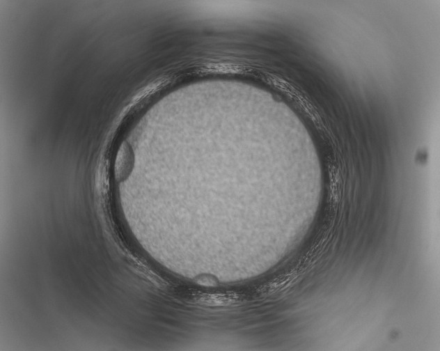 X0000116800731201001151122