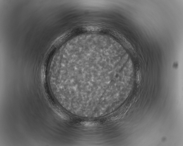 X0000116800733201001151122