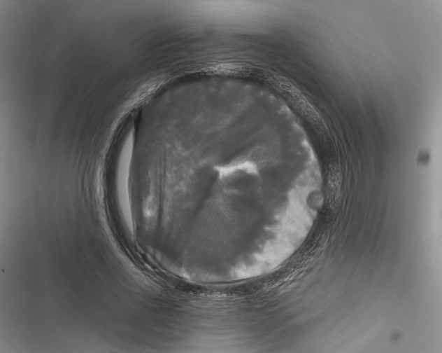 X0000116800734201001151122