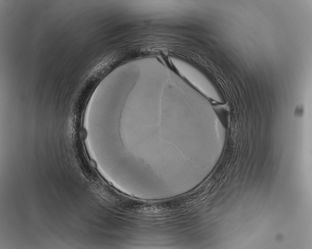 X0000116800735201001151122