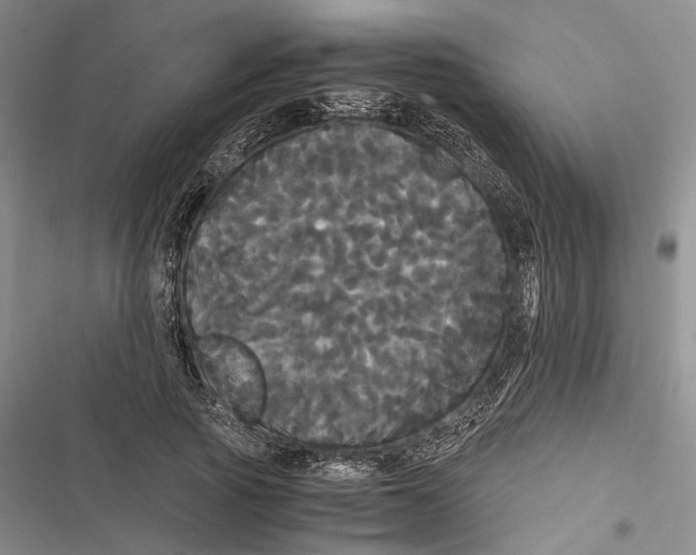 X0000116800737201001151122