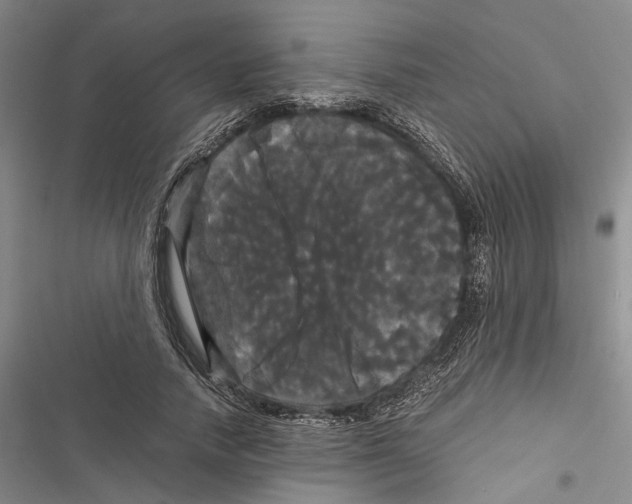 X0000116800738201001151122