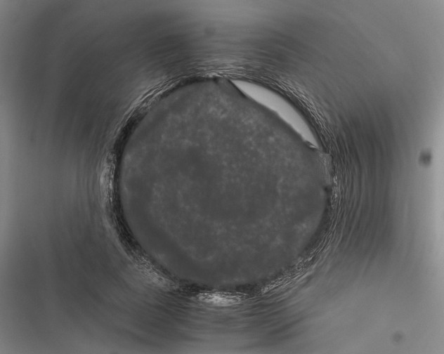 X0000116800739201001151122