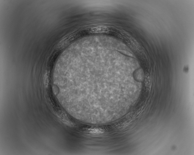 X0000116800741201001151122