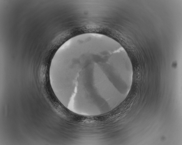 X0000116800742201001151122