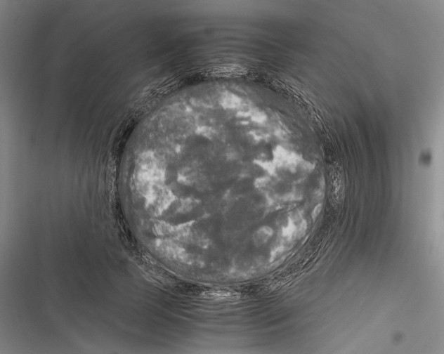 X0000116800745201001151122