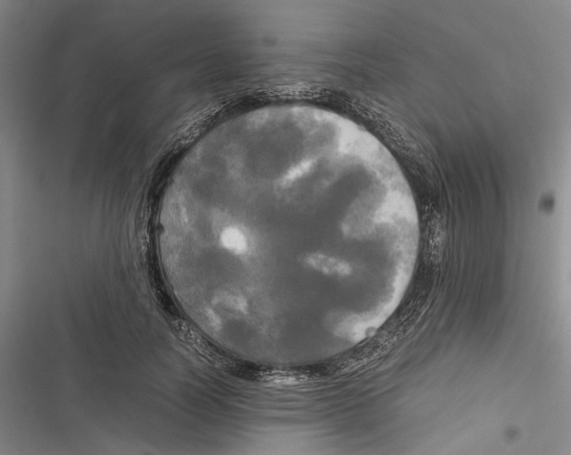 X0000116800746201001151122
