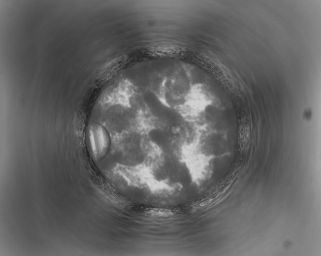 X0000116800749201001151122