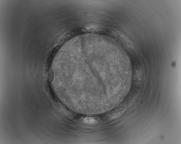 X0000116800751201001151122