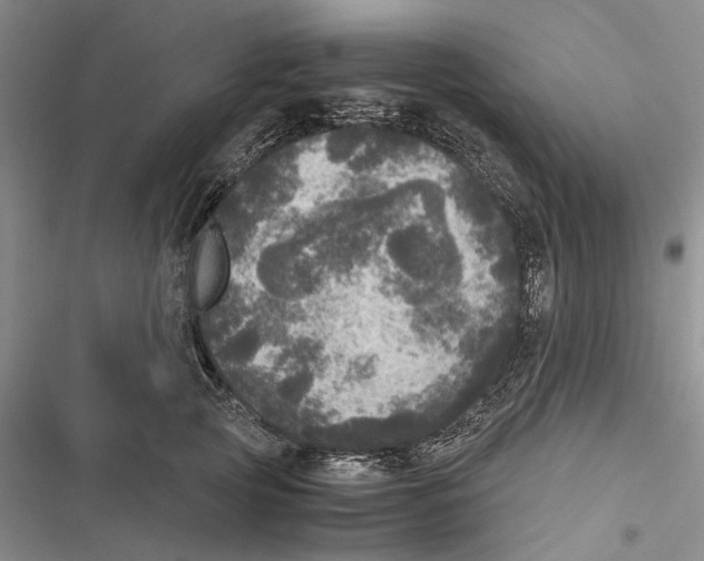 X0000116800753201001151122