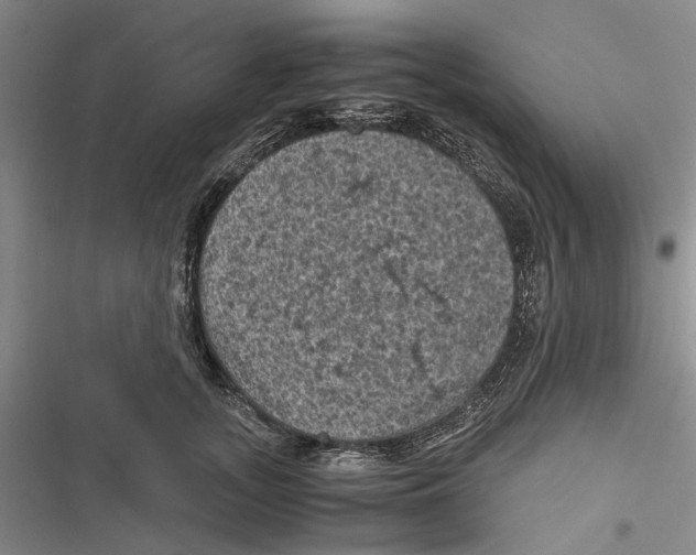 X0000116800755201001151122