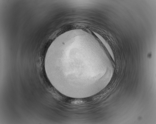 X0000116800759201001151122