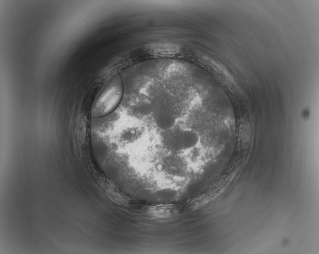 X0000116800761201001151122