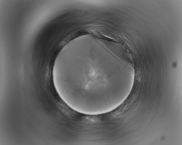 X0000116800763201001151122
