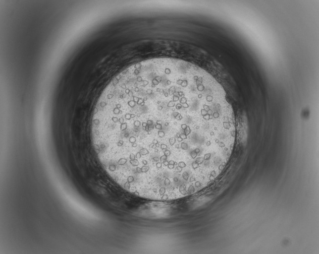 X0000116800766201001151122