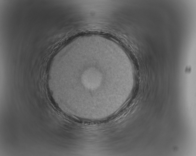 X0000116800769201001151122