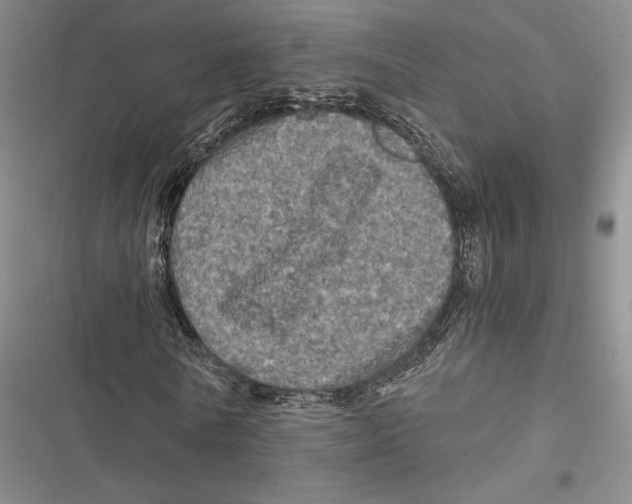 X0000116800770201001151122