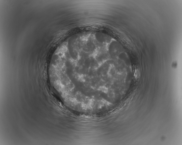 X0000116800771201001151122