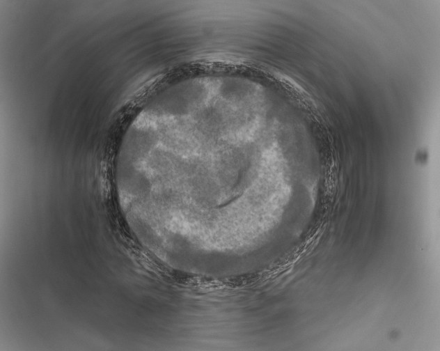 X0000116800774201001151122
