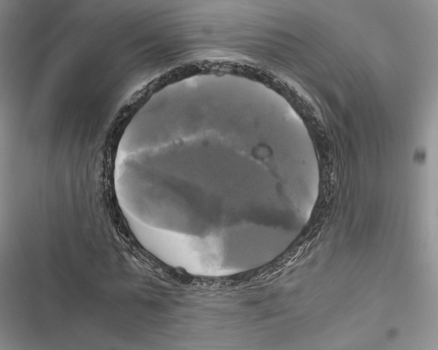 X0000116800775201001151122