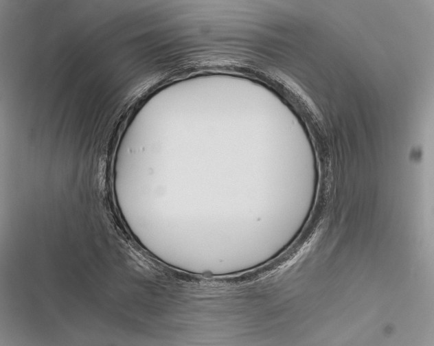 X0000116800777201001151122