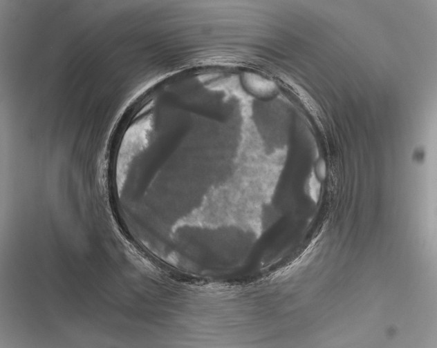 X0000116800779201001151122