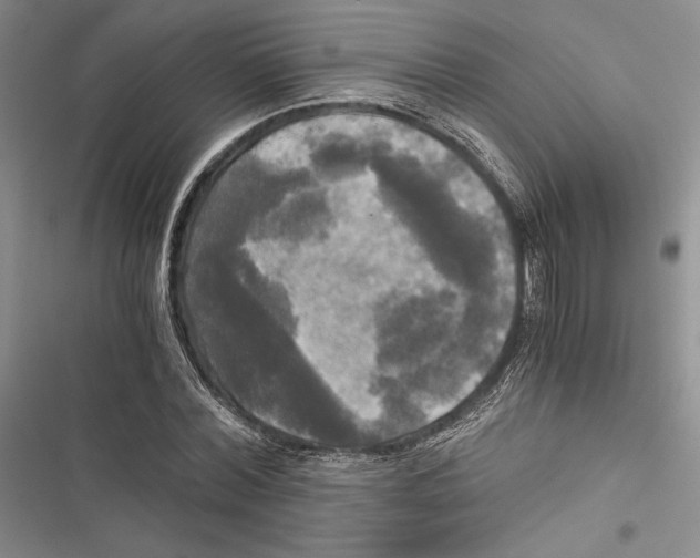X0000116800780201001151121