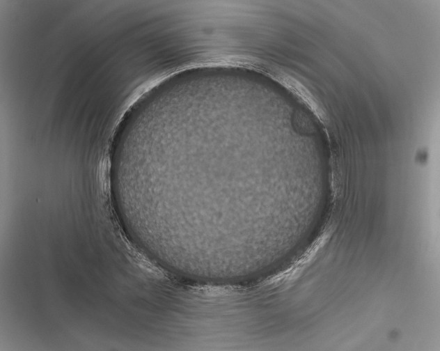 X0000116800781201001151121