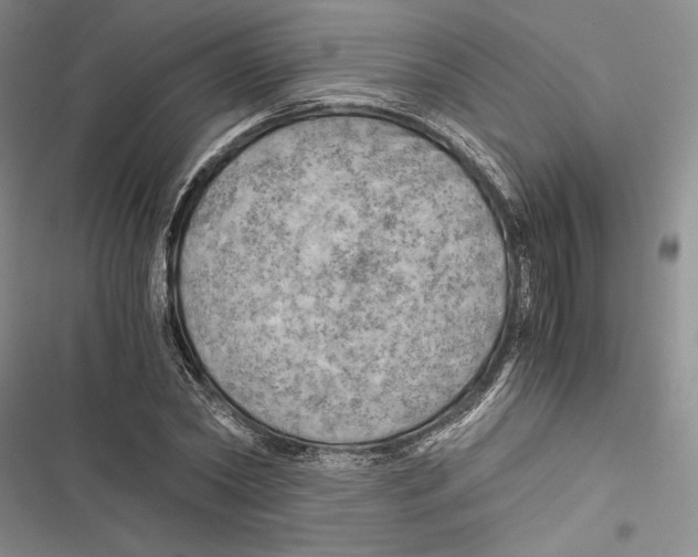 X0000116800782201001151121