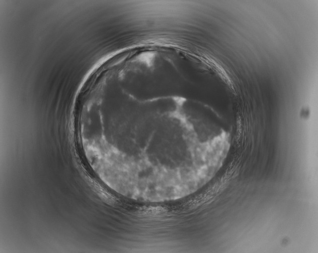 X0000116800784201001151121