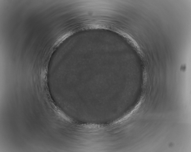 X0000116800785201001151121