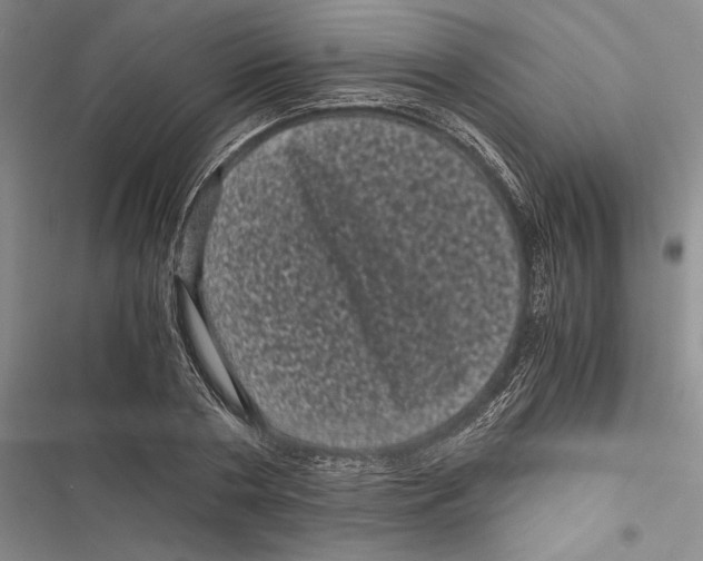 X0000116800786201001151121