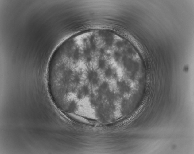 X0000116800787201001151121