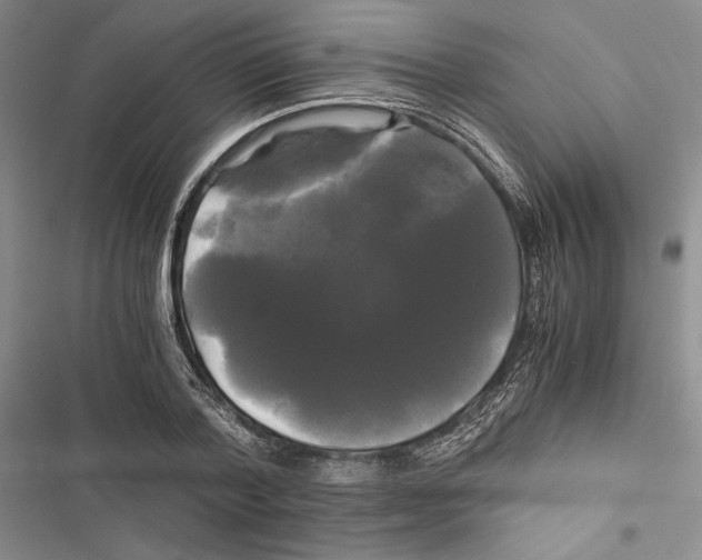 X0000116800788201001151121